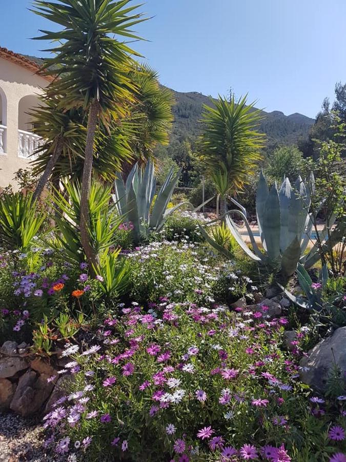 Sueno Grande Hotel Lliber Exterior photo